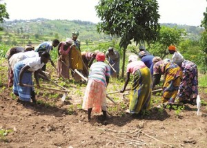 Women in field