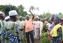 Field voting instruction