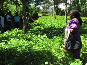 Nsimire Mâ€™Karubandika explains her farming achievements and future plans.
