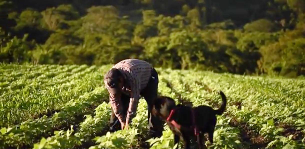 Times of Change 2 Web