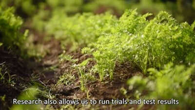 Times of Change 4 Web